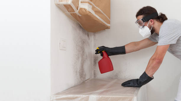 Professional Crawl Space Mold Removal technician working in Drayden, MD